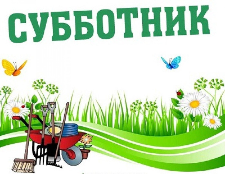 Операция "Чистый двор".