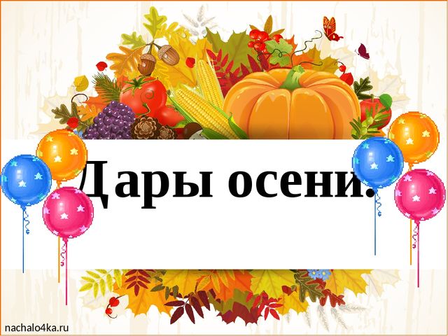 Выставка поделок из природного материала "Дары осени".